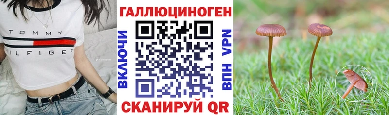 Галлюциногенные грибы прущие грибы Зуевка